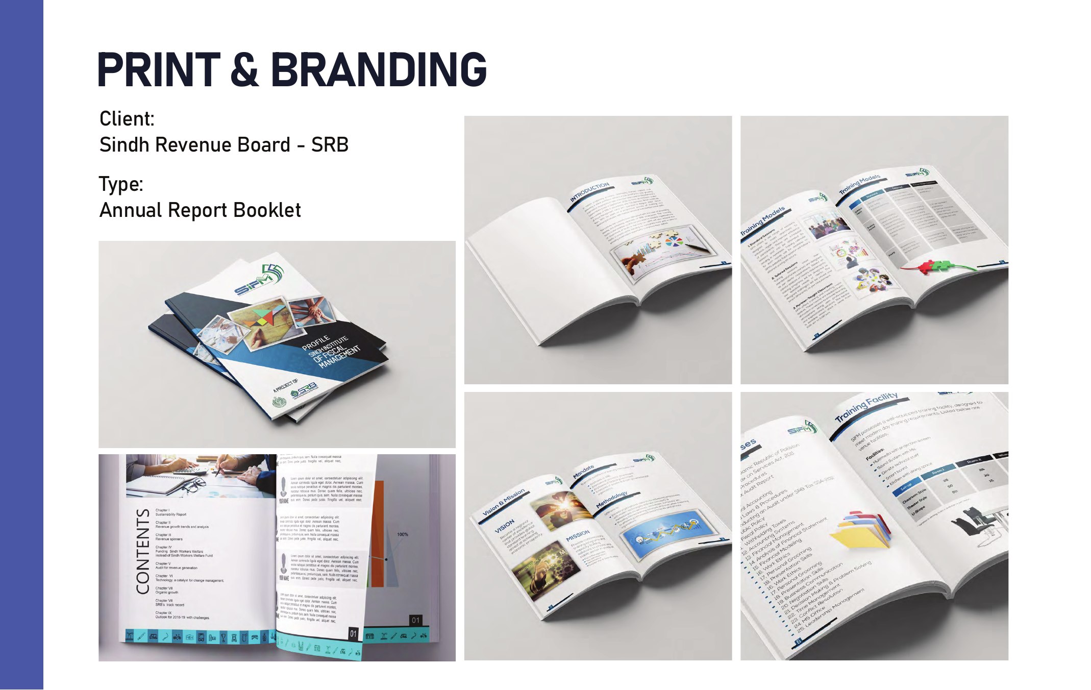 Sindh Revenue Board annual report portfolio
